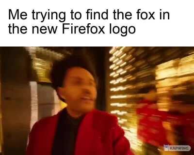 Where did the fox go?