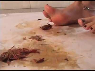 white barefoot crawdad crush