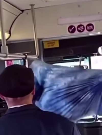 Man in hammock refuses to leave bus. 