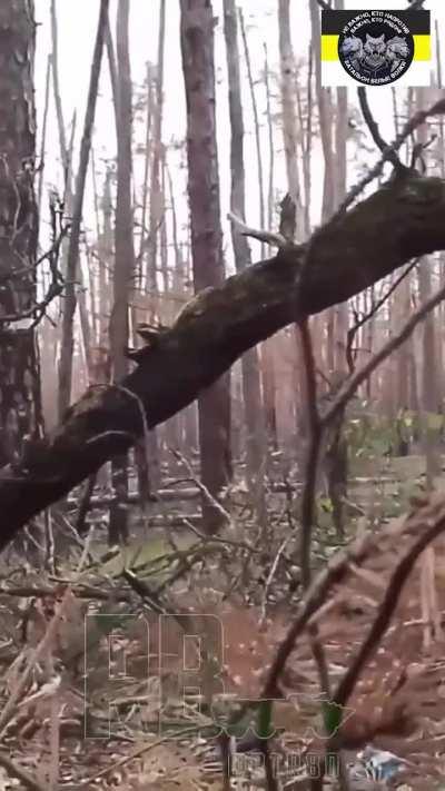 Russian pov during a firefight in the Kreminna Forest