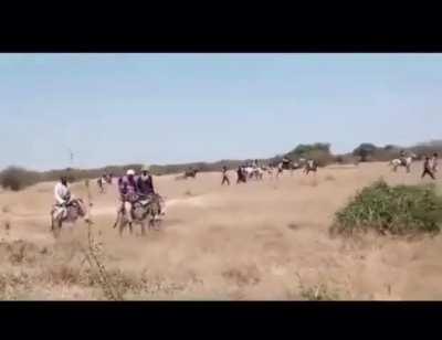 Clashes between members of the Salamat and Habbaniya tribes in South Darfur, this is where the term janjaweed originates, western sudanese arabic for 'men on horseback'