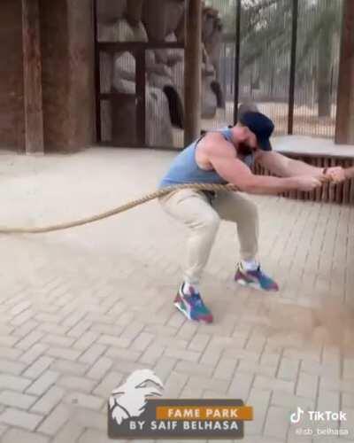 This zoo has an area where you can play tug of war with a lion!