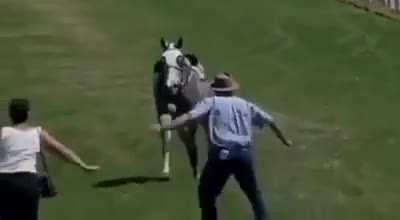 HMFT after I get trampled by a horse