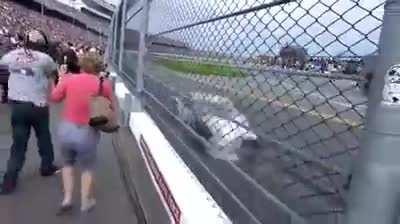 The true speed of Nascar up close