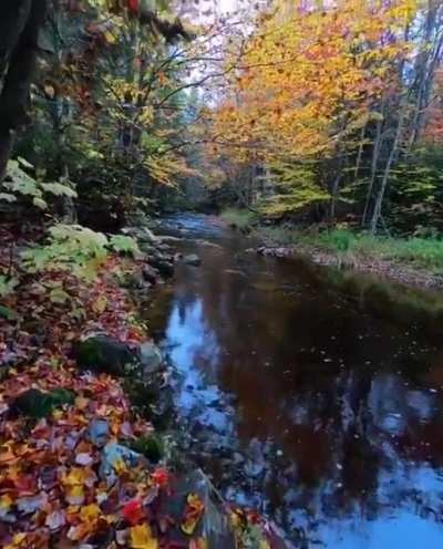 🔥 Autumn in Vermont