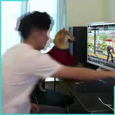 When your dog is better in KoF than you.