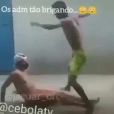 Miauditos