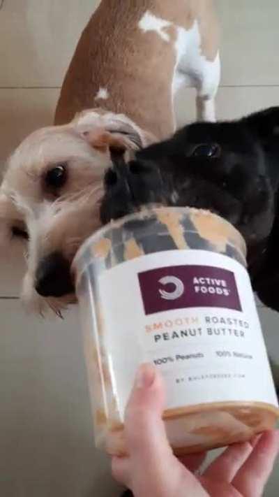 Doggos love themselves some peanut butter.