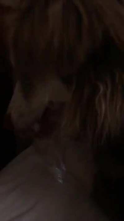 Dogs these days