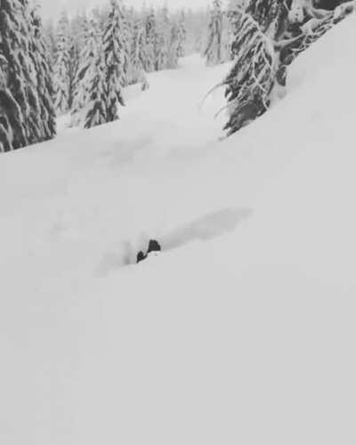 Guy demonstrates how deep the snow is by disappearing in it