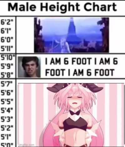 Height rules