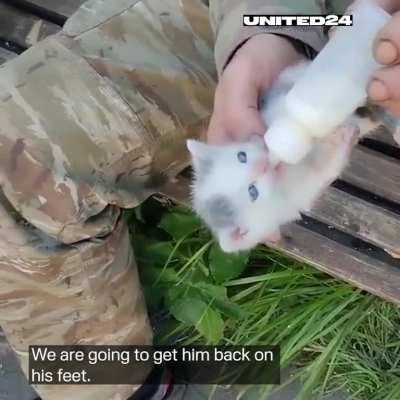 This is how soldiers save kittens 