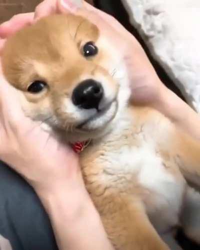No, do not touch me! I am- ..wait, this is nice.