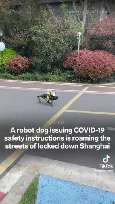 Robot dog issuing COVID safety instructions in Shanghai….