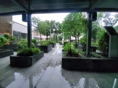 Storm I captured in a park in Hong Kong last year