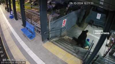 SE ESCAPÓ DE LA CÁRCEL, LO AGARRARON EN LA ESTACIÓN DE TRENES.
El detenido por robo se había escapado de la unidad 47 de San Martín.
 Llamaron al 911 y lo atraparon en Aldo Bonzi.