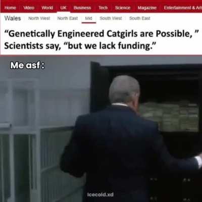 Genetically Engineered Catgirls are Possible,  Scientists say, “but we  lack funding.” - iFunny