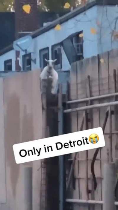 Detroit