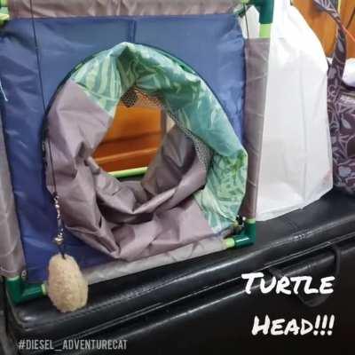 Turtle head!!