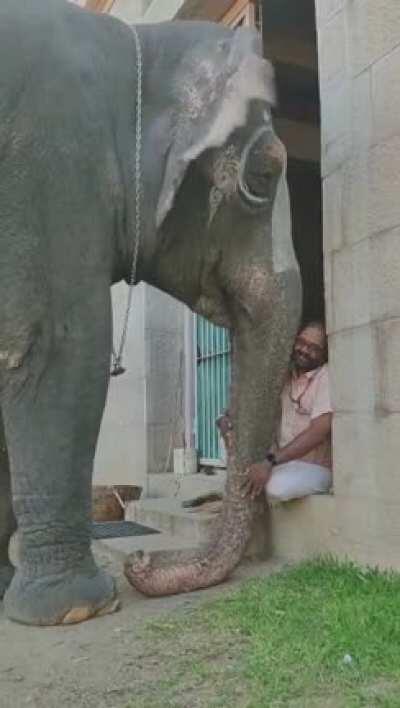 Mahout Conversing with Elephant