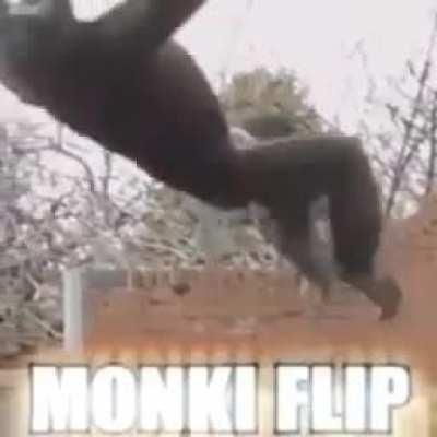 Monki flip