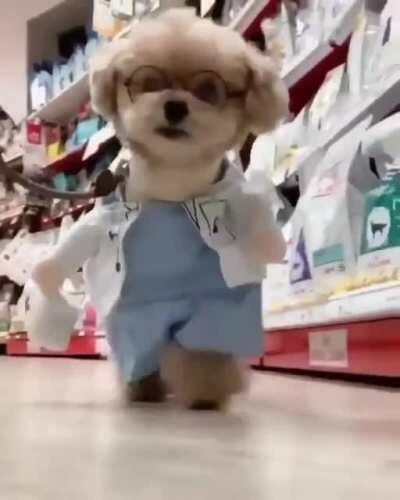 The Dogtor will see you now