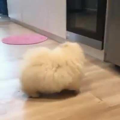 This fluffy potato checking the oven