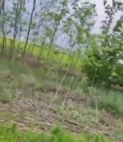 A Russian ammo truck tried to cross the fields of Donetsk Oblast but it was blown to pieces by a Ukrainian mine