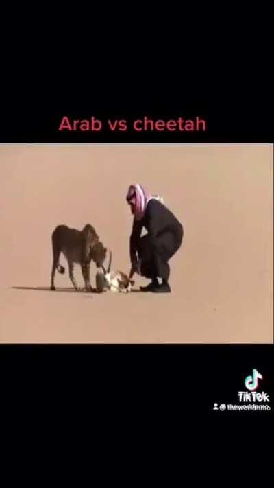 arabs vs cheetah (str00nk