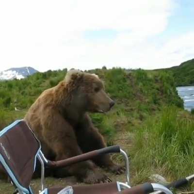 Brown bear casually sits next to fisherman