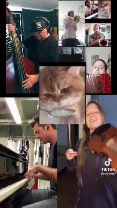 The International Mlem Orchestra