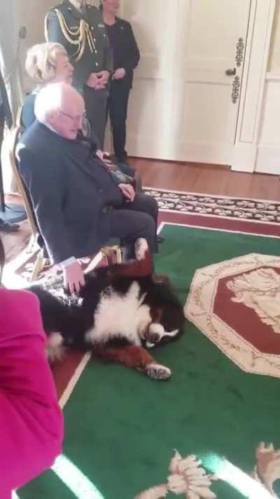 I am glad I live in a country where the President is constitutionally required to give belly rubs even when he’s very busy.