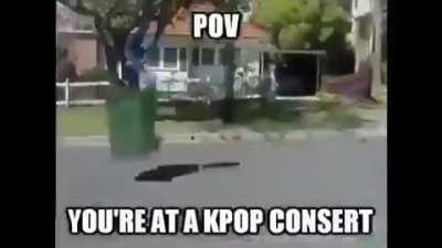 K-Pop, more like K-Poop