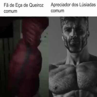 Fã vs Apreciador