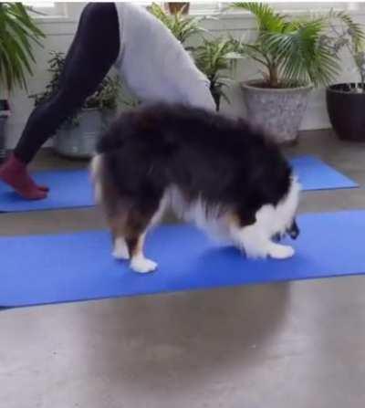 Yoga with your best friend