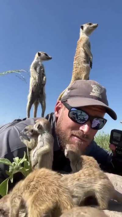 PhOTograPher gets TRampleD in STamPeDe