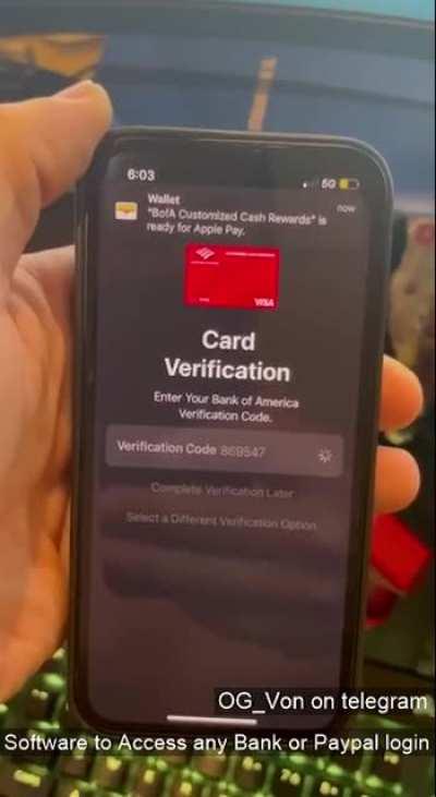 Software to get into any Bank Account + Bank Logins. Stop scrolling cringe tik toks and start breading.