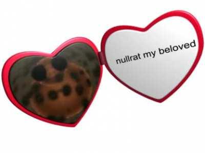 i love nullrat