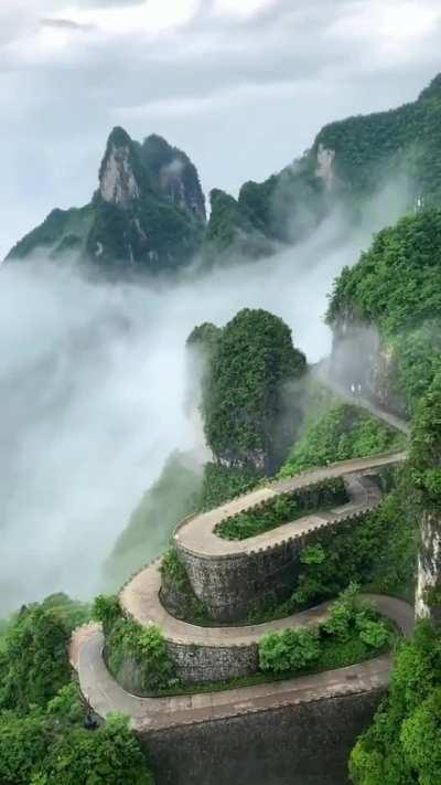 🔥 zhangjiajie national forest