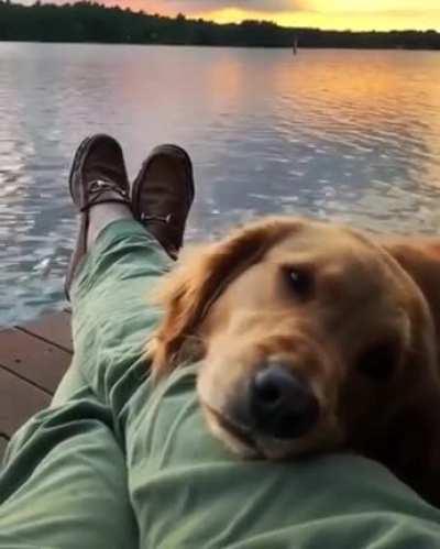 Even when there was a beautiful sunset.. the doggo wanted to look at its hooman