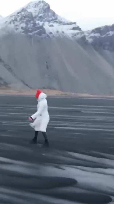 🔥 Sand snakes in Iceland