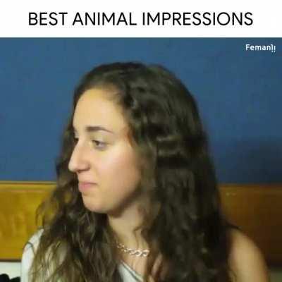 Best Animal Impressions !