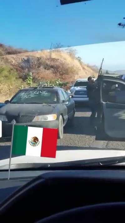 Rifle mounted above sun roof, because Mexico