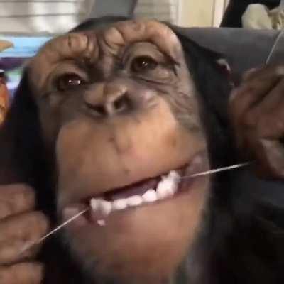 Monke klean, stoonky hooman