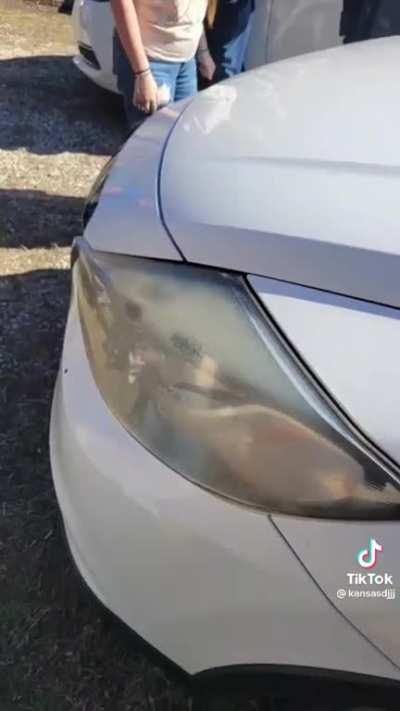 Bug spray on old headlights