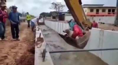 A group of monsters use an excavator to send a dog downstream