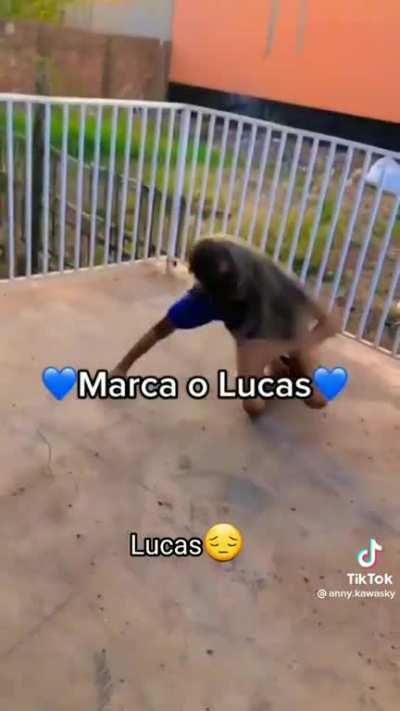 Espera Luquinhas!