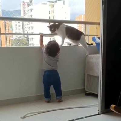 Cat is very worried for the kid