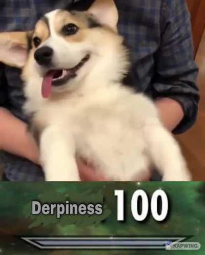 Derpiness 100