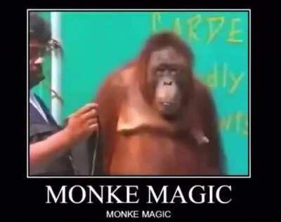 Monke does magic 😳